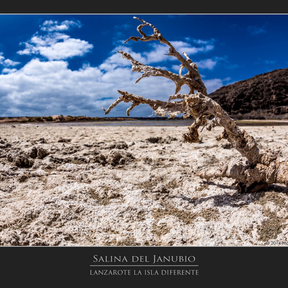 Salina del Janubio, Lanzarote